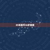 85年属牛36岁离婚，今年属牛犯桃花劫