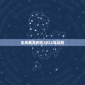 生肖属龙的在2022年运势，2021年生肖龙的全年运势