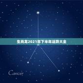 生肖龙2021年下半年运势大全，2021属龙的全年运势