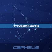 大气又低调的名字英文名，exo成员的十二人名字各叫什么