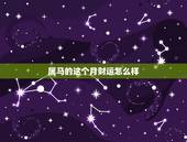 属马的这个月财运怎么样，属马的今年财运怎么样