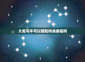 大龙与牛可以婚配吗会幸福吗，龙与牛婚配如何