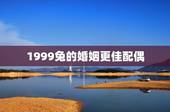 1999兔的婚姻更佳配偶，属兔男更佳配偶