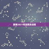 属猪2021年运势及运程，2021属猪人全年运势