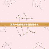 属兔一生最佳婚配属相是什么，属兔的最佳婚配