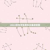2022年怀孕生男生女表清宫图，2022年清宫表生男生女图