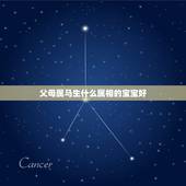 父母属马生什么属相的宝宝好，属龙的母亲 属马的父亲 生个什么属相的宝宝