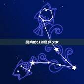 属鸡的分别是多少岁，属鸡的年龄表2022 虚岁
