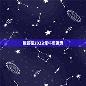 属蛇在2022年牛年运势，2022年运势12生肖运势
