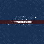 十二生肖属相代表的花，十二生肖的幸运花