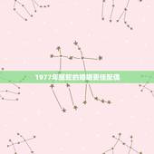 1977年属蛇的婚姻更佳配偶，1977年属蛇犯二婚吗