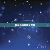 属鼠不喜欢哪个生肖，十二生肖哪个生肖更好