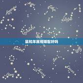 鼠和羊属相婚配好吗，属鼠的和属羊的相克吗？在一起好吗？