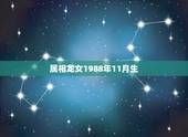 属相龙女1988年11月生，属龙的1988年农历11月13出生的女人命