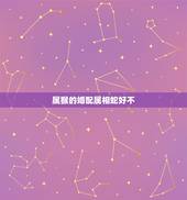 属猴的婚配属相蛇好不，属相婚配：男属蛇和女属猴相配吗？