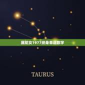 属蛇女1977终身幸运数字，77年属蛇永久吉利数字