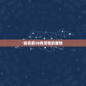 排名前20有灵性的宠物，中国吉祥动物有那些呢？