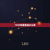1939年属兔是什么命，1963年发生了什么灾难