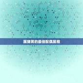 属猪男的最佳配偶属相 属猪人最全婚配表