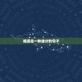 相遇是一种缘分的句子，相遇是缘分的唯美句子