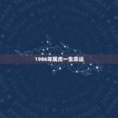 1986年属虎一生命运，1986虎年出生的人的命运
