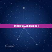 1987属兔人逢牛年2021，兔人牛年运势2021运势详解