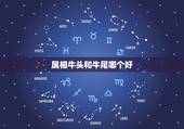 属相牛头和牛尾哪个好，猪尾好还是牛尾好