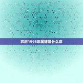 农历1995年属猪是什么命，1995年是什么命？1995年出生的属猪人