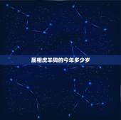 属相虎羊狗的今年多少岁，犯太岁 为什么就这4个属相 狗 羊 龙 马 为