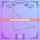 属牛和属兔的婚姻相配吗，属牛男娶属兔女财运