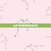生孩子的属相有没有对冲，遇到生肖相冲的年份可以结婚吗
