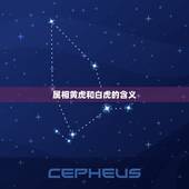 属相黄虎和白虎的含义，阴阳五行学说有什么内容，怎样推算年份