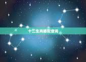 十二生肖婚配查询，夫妻最不合的属相