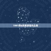 1991年6月属羊是什么命，1991年6月属羊是什么五行