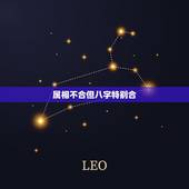 属相不合但八字特别合，属相不合但是八字合，要不要继续下去？