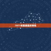 1971年属猪最终寿命，71年属猪48岁有一灾