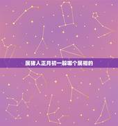 属猪人正月初一躲哪个属相的，属猪的 今年犯太岁 怎么化解呢