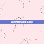 属鸡的桃花运在什么时候，属鸡的人今年几月有桃花运