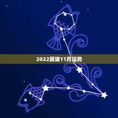 2022属猪11月运势，2022 苏珊米勒11月运势