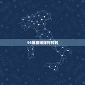 95属猪姻缘何时到，九五年属猪的婚姻配对