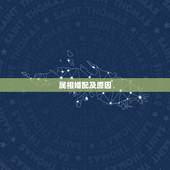 属相婚配及原因，属兔的女人和什么属相最般配