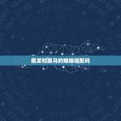 属龙和属马的婚姻相配吗，属龙和属马相配吗