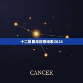 十二属相年龄查询表2023，十二生肖岁数年龄表