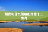 属虎和什么属相配婚缘十二生肖，属虎的和什么属相最配