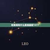 蛇属相和什么属相最配1977，属老虎的和什么属相最配