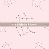 87年属兔的今年多大2022，属牛的今年多大