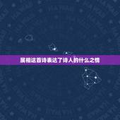 属相这首诗表达了诗人的什么之情，属相一二诗句表达了诗人怎样的思想感情