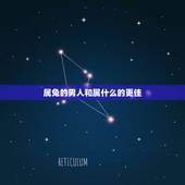属兔的男人和属什么的更佳，男属兔婚配怎么好