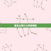 属兔女跟什么属相相配，属兔女和什么属相最配？