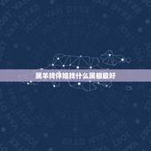属羊找伴娘找什么属相最好，属羊的人找什么属相当伴娘